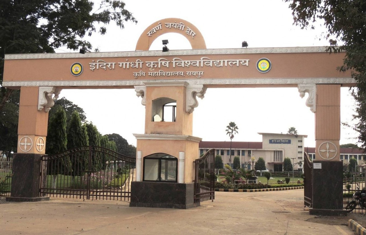IGKV Raipur: बीएससी कृषि काउंसलिंग के लिए सीट और कॉलेज आबंटित, 22 अगस्त तक होगा डॉक्यूमेंट वेरिफिकेशन; देखें पूरा शेड्यूल